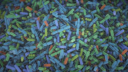 illustrazione dei batteri intestinali umani, rappresentazioni multicolori di batteri a forma di bacillo
