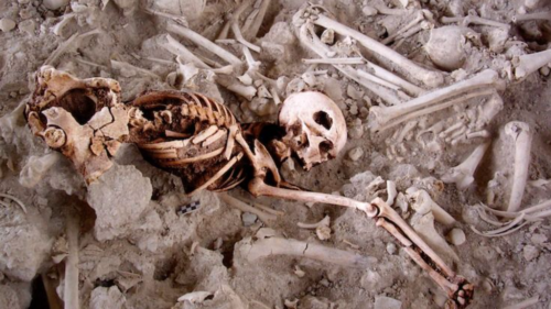 Scoperti i resti di una donna sopravvissuta a due interventi chirurgici al cervello nell’età del bronzo