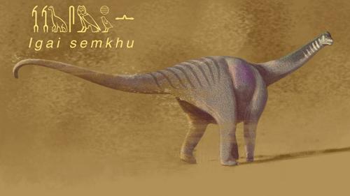 illustrazione del nuovo titanosaur Igai semkhu con il nome scritto a sinistra insieme alla rappresentazione geroglifica