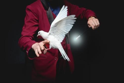 Un mago indossa un cappotto di colore bordeaux e tende la mano mentre una colomba bianca cerca di posarsi su di essa. Nell'altra mano tiene una bacchetta magica che sta puntando verso l'uccello. La punta della bacchetta emette una luce bianca.