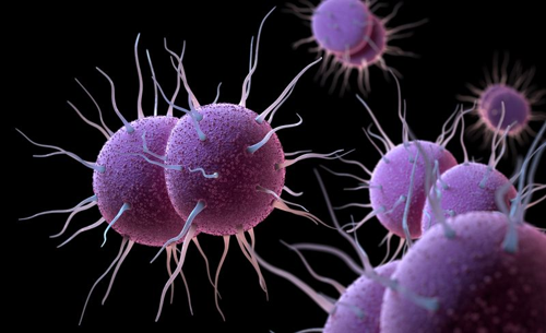 Un nuovo antibiotico potrebbe essere la risposta alla super gonorrea