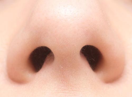 La percezione degli odori varia a seconda delle narici