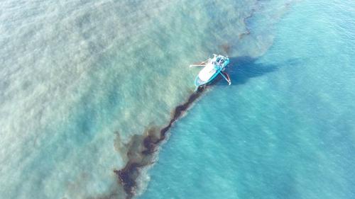 Fuoriuscita di petrolio nel Golfo del Messico: preoccupazioni per l’ambiente marino
