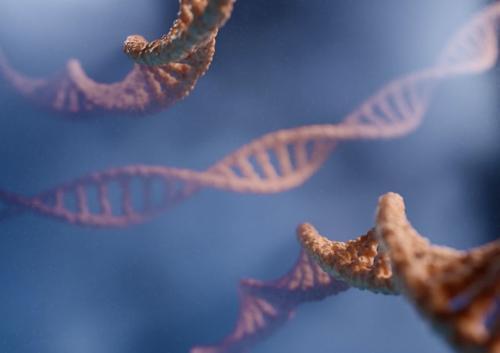 Tre filamenti di DNA rosa su sfondo blu