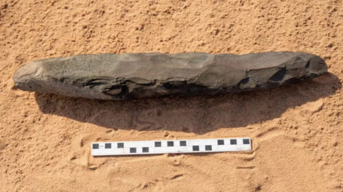 Scoperta nel deserto un’antichissima ascia di pietra gigante