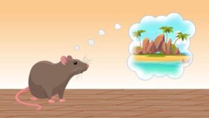 ratto cartone animato con una nuvola di pensieri che mostra un'isola tropicale