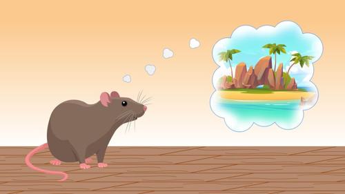 I ratti possono sognare viaggi immaginari