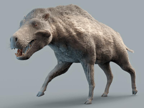 rendering-of-daeodon-shoshonensis-facing-left-on-a-grey-background-front-leg-raised-m-1.png
