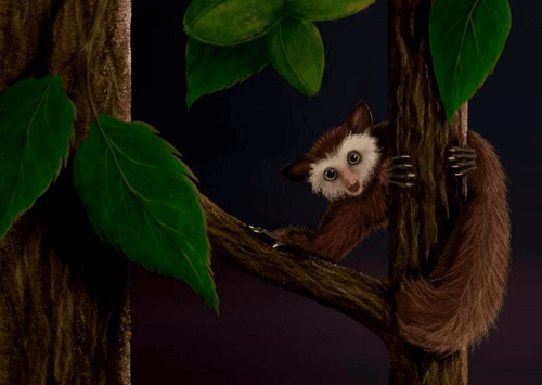Svelato l’albero genealogico dell’ultimo primate del Nord America