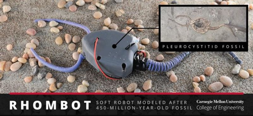 soft-robot-m-1.png