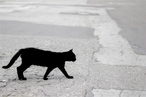 Un gatto nero viene catturato in una foto in bianco e nero mentre cammina su un marciapiede. 