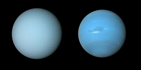 Quali sono le differenze tra Urano e Nettuno?