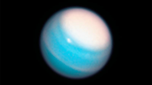 Urano blu e bianco, come catturato da Hubble.