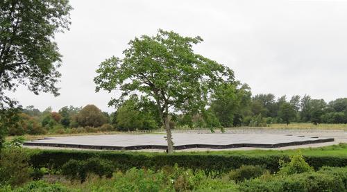 Fotografia dell'Irish Low-Frequency Array (I-LOFAR) a Birr Castle in Irlanda, circondata da alberi
