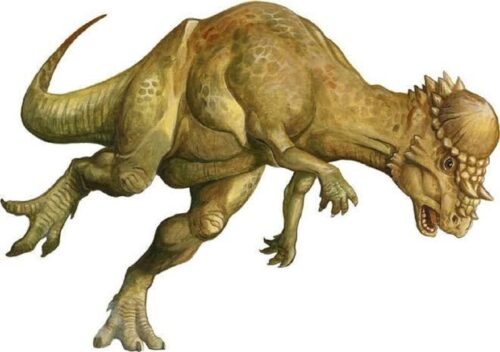 nuova specie dinosauro pachycephalosaurus