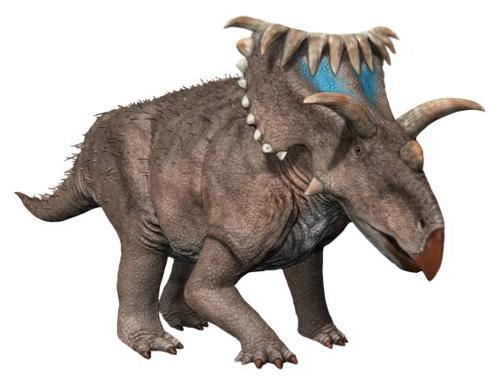 Un pesante dinosauro kosmoceratops a quattro zampe che assomiglia a un triceratopo con un naso a becco e un grande collare al collo, ma ha anche francamente 15 corna sul viso non necessarie