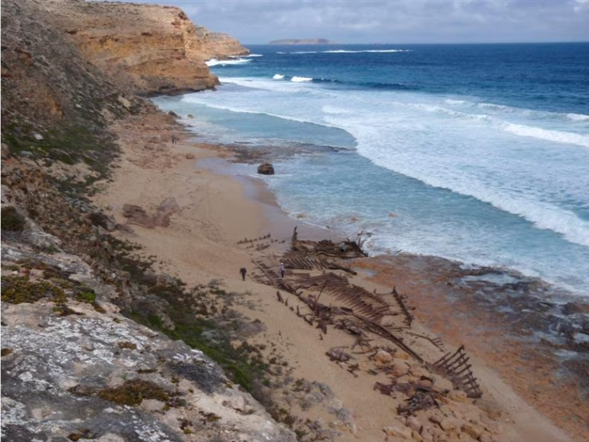 Uno squalo attacca e uccide un giovane su una spiaggia australiana