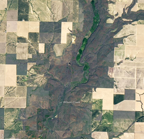 Un primo piano dell'immagine Landsat-8 che mostra Wilson Creek.