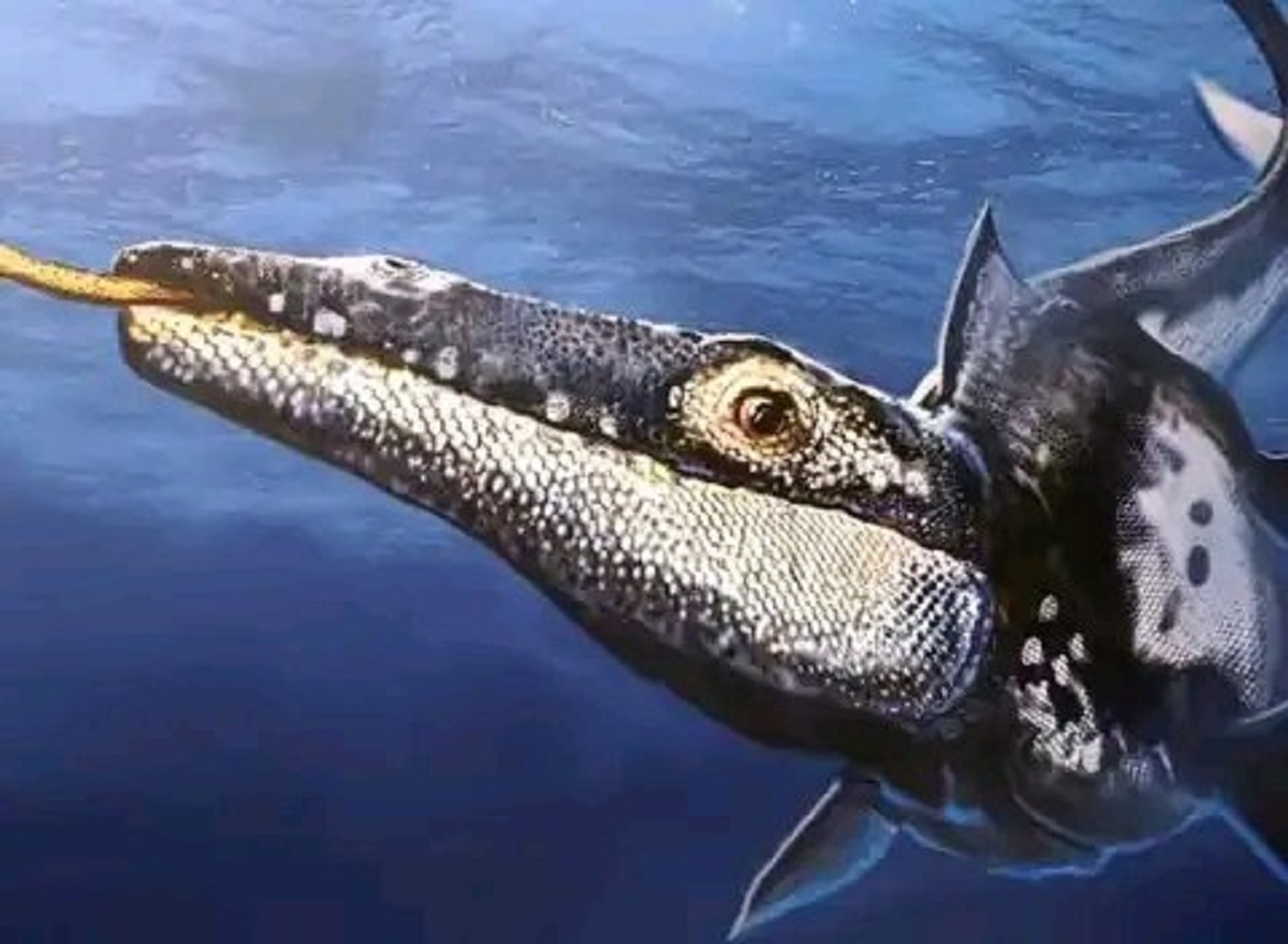Messico: trovato mostro marino di 90 milioni di anni con lingua biforcuta
