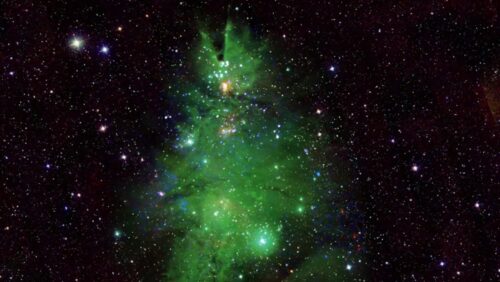 La NASA cattura l’immagine di un “albero di Natale” composto da esplosioni di stelle