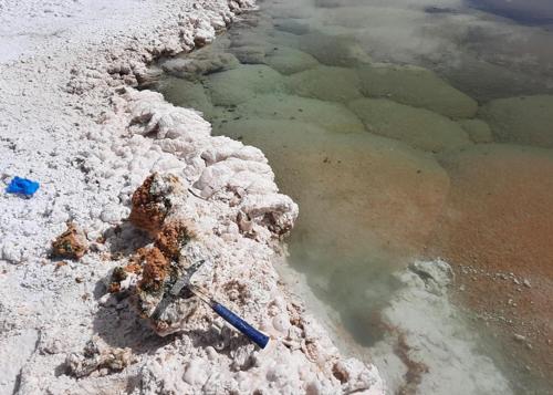 Hynek ha usato un martello da roccia per rompere una formazione di stromatoliti, rivelando il suo centro rosa che indica la presenza di archea. Sotto l'acqua crescono altre stromatoliti.