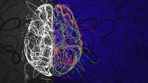 illustrazione del cervello, metà è in bianco e nero e l'altra metà è a colori