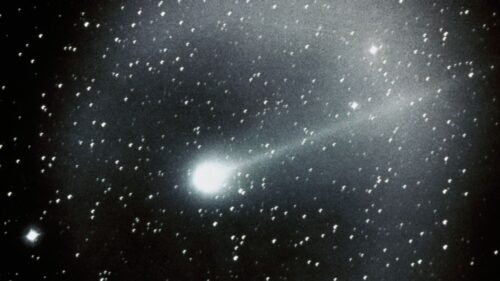 Cometa di Halley: si prepara al viaggio di ritorno verso il Sole lungo 38 anni