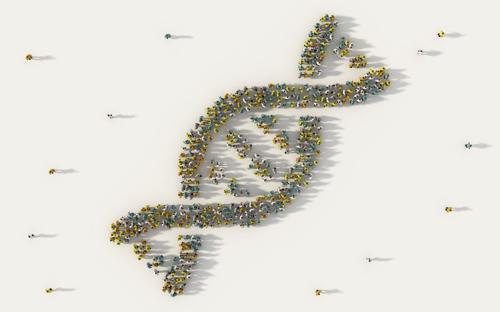 vista a volo d'uccello di un grande gruppo di persone riunite insieme in modo che sembri un elica di DNA dall'alto