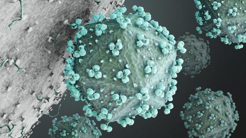 Una rappresentazione 3D di un virus HIV che attacca una cellula. Il virus ha la forma di un dado a venti facce con piccoli gruppi di sfere sulla sua superficie. Si sta collegando alla superficie di una cellula sferica più grande che occupa un terzo dell'immagine in basso a sinistra. Ci sono altri quattro virus HIV sullo sfondo.