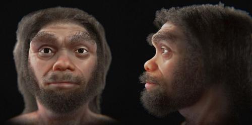La scoperta dell’Homo longi: un parente degli Homo sapiens