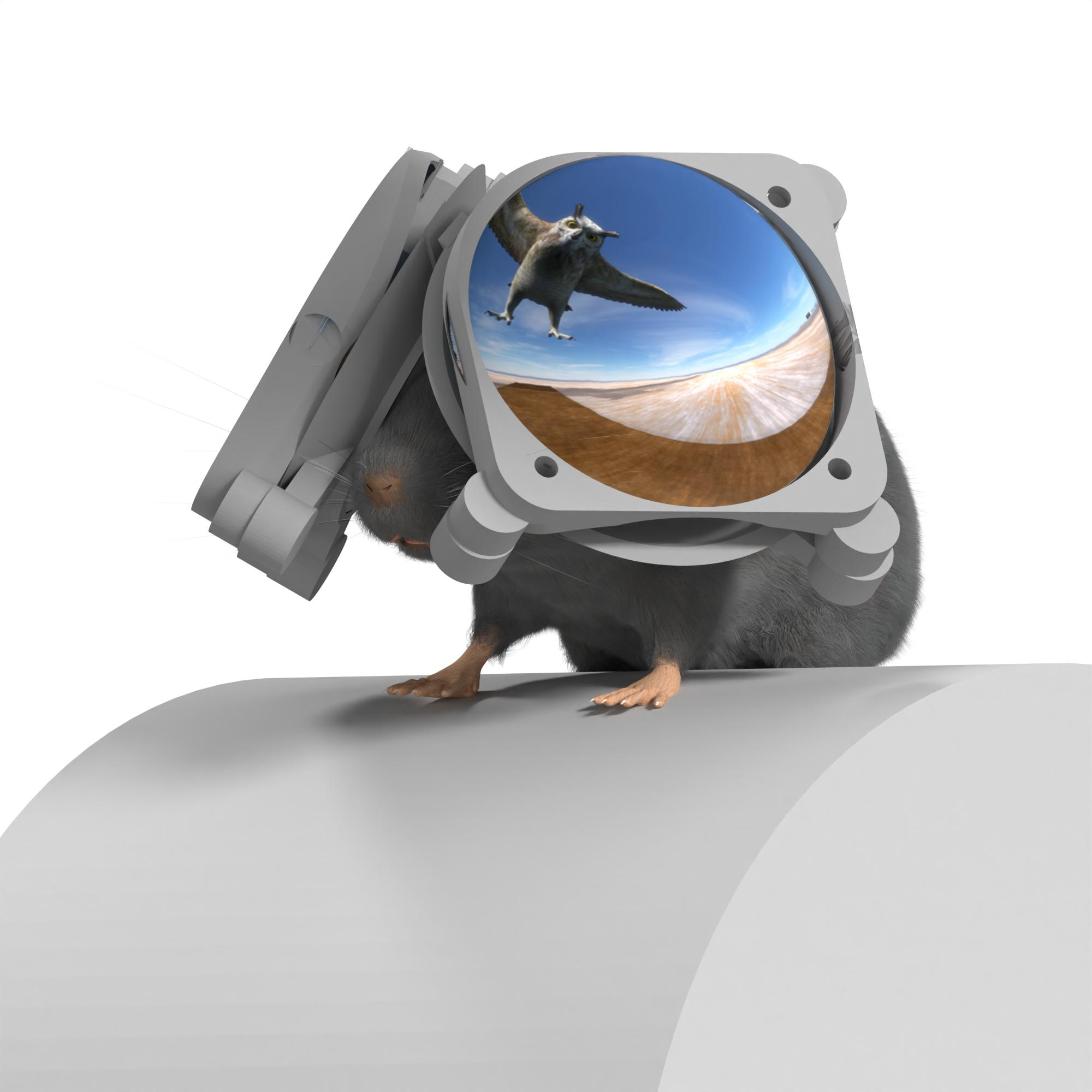 Immagine renderizzata in 3D di un topo che indossa occhiali VR mostrando un gufo per rappresentare un predatore