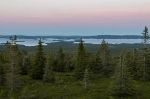 Vista sulla natura selvaggia finlandese con foresta boreale e laghi blu al crepuscolo, Riisitunturi, Lapponia, Posio, Finlandia
