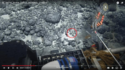 un dente di megalodonte trovato sul fondo del mare profondo