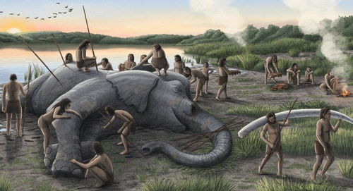 Per sfruttare appieno un toro di Palaeoloxodon antiquus da 13 tonnellate sarebbero state necessarie buone tecniche di conservazione, oppure i Neanderthal si riunivano in gruppi di almeno 25 persone, più grandi di quanto si fosse immaginato in precedenza.