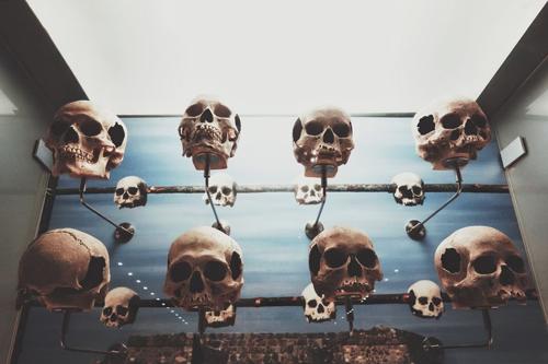 skull-m-1.jpg