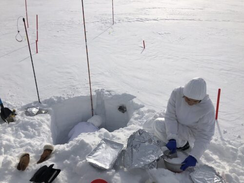 Trovati per la prima volta contaminanti di crema solare nella neve artica
