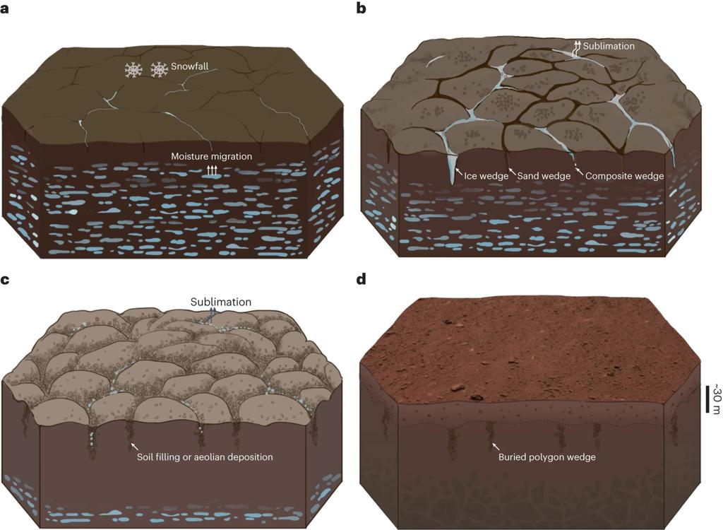 Four images show the process. First moisture moves through the ground. In the second ice creates a wedge. In the third sublimation creates cracked terrain. And in the fourth the cracked terrain is buried.
