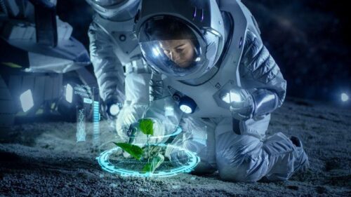 Ceci coltivati sulla Luna: un passo verso l’agricoltura spaziale