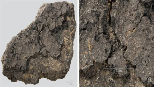 Scoperti resti di un pasto carbonizzato risalente a 5.000 anni fa in Germania