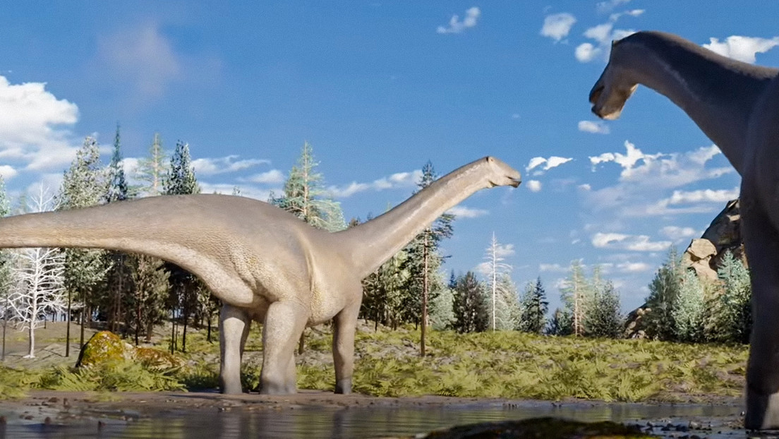 Scoperta nuova specie di dinosauro erbivoro dal collo lungo