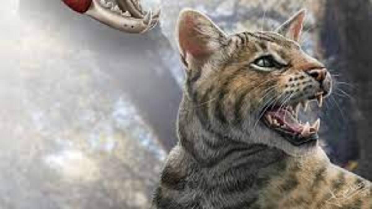 Nuova specie di gatto preistorico scoperta in Spagna