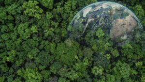 Vita sul pianeta Terra