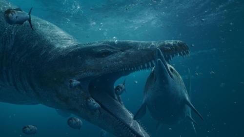 Il gigantesco mostro marino: il pliosauro restaurato