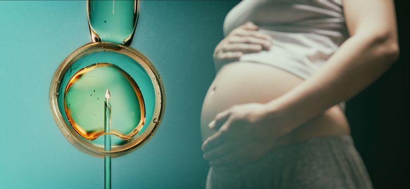 ivf-pregnancy-m-1.jpg