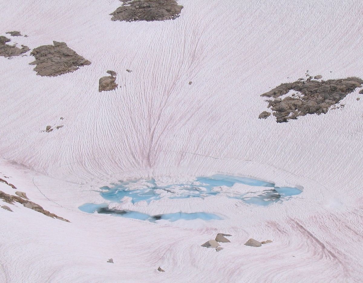 neve-rossa-anguria-1.jpg