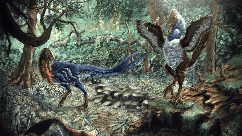 Scoperta una nuova specie di oviraptor nell’ecosistema di Hell Creek
