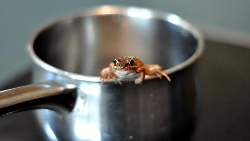 A frog on a saucepan.