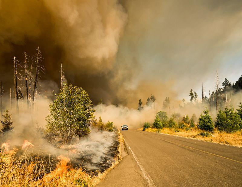 Auto che guida su una strada attraverso un incendio boschivo in Nord America