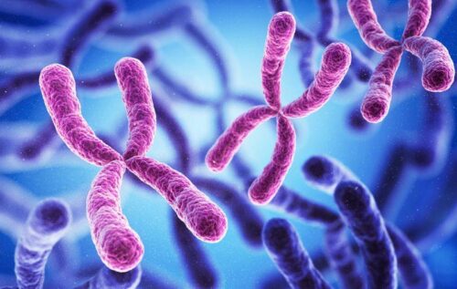 Nuova tecnica rivela i primi casi di disturbi genetici nel DNA antico