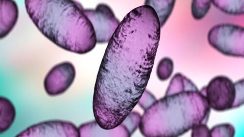 USA: raro caso umano di peste bubbonica in Oregon confermato dalle autorità